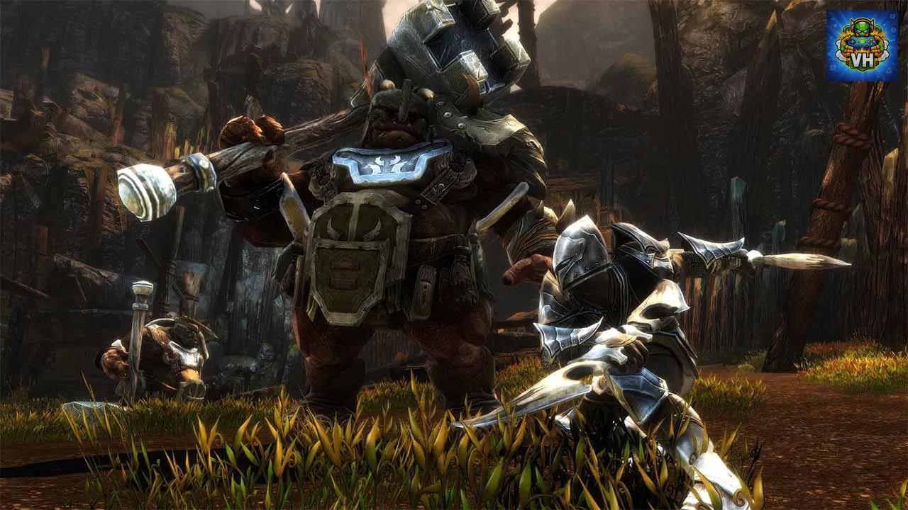 Kingdoms of Amalur: Re-Reckoning Nintendo Switch - ảnh màn hình 5