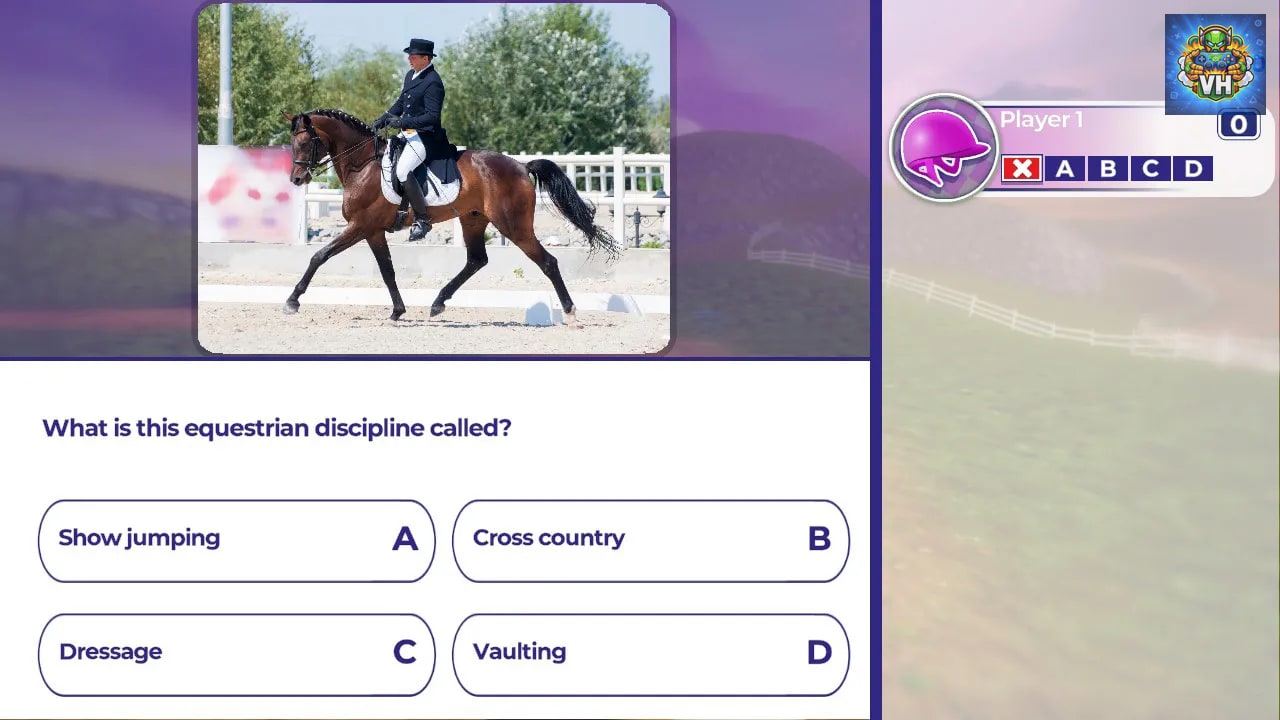 Equestrian Training Nintendo Switch - ảnh màn hình 11