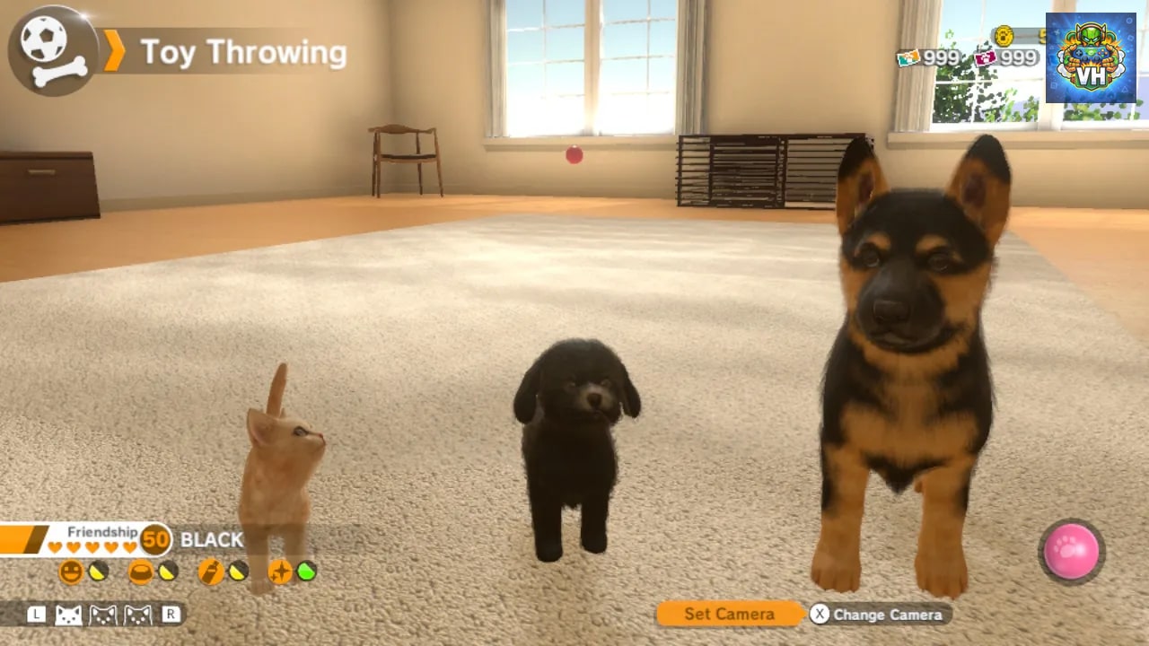Little Friends: Dogs & Cats Nintendo Switch - ảnh màn hình 4