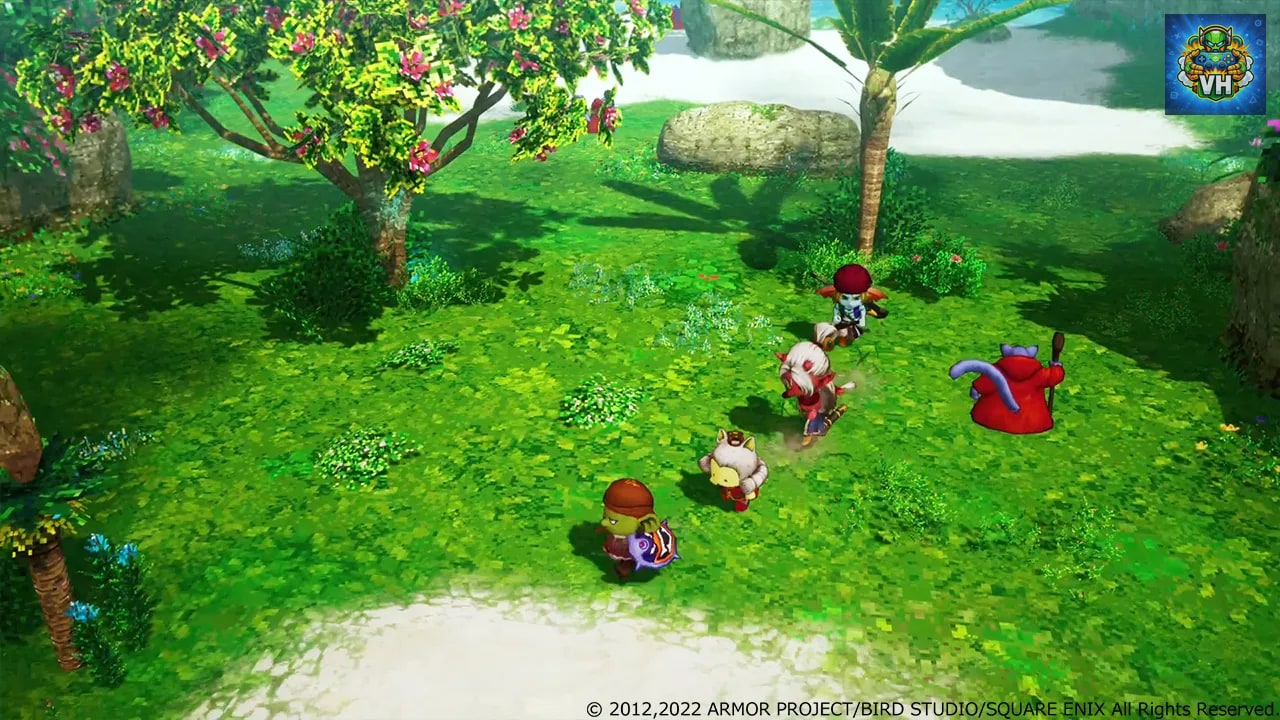 Dragon Quest X Awakening Five Races (test) Việt hóa Switch - ảnh màn hình 1