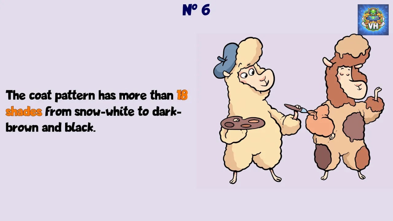 Alpaca Wonders Why Nintendo Switch - ảnh màn hình 4