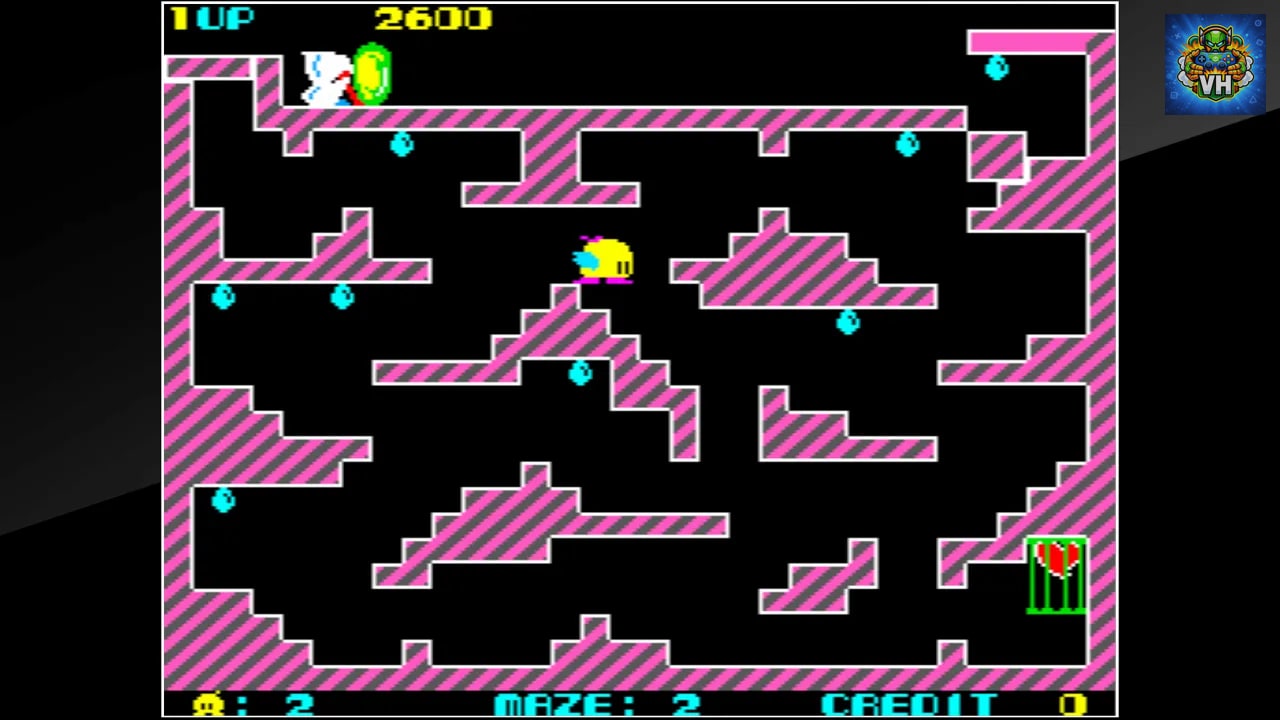 Arcade Archives Chack'n Pop Nintendo Switch - ảnh màn hình 3