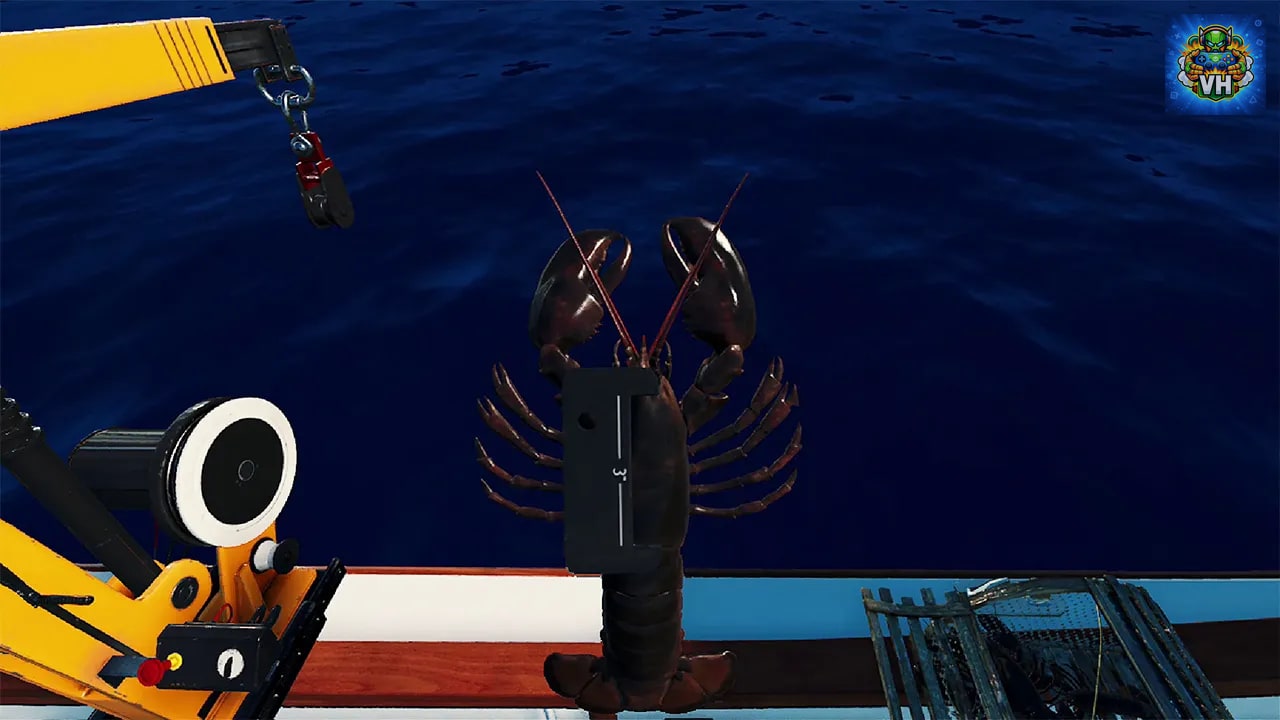 Fishing: North Atlantic Nintendo Switch - ảnh màn hình 3