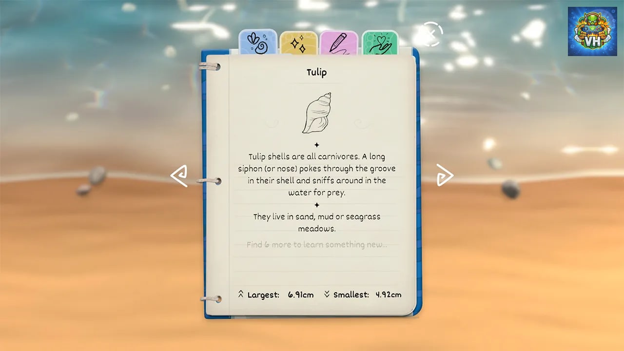 Seashell Nintendo Switch - ảnh màn hình 2