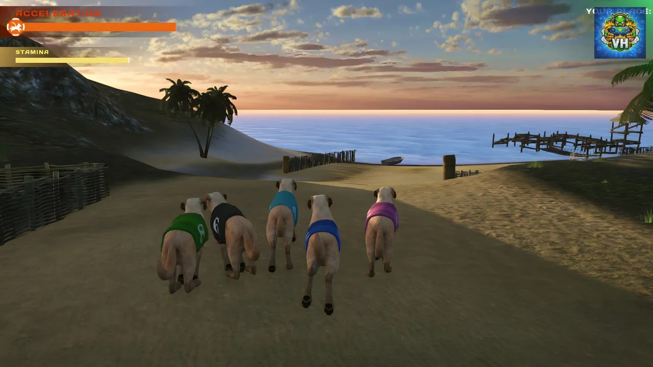 DOG RACING - LOVELY PET FRIENDS PAW Nintendo Switch - ảnh màn hình 1