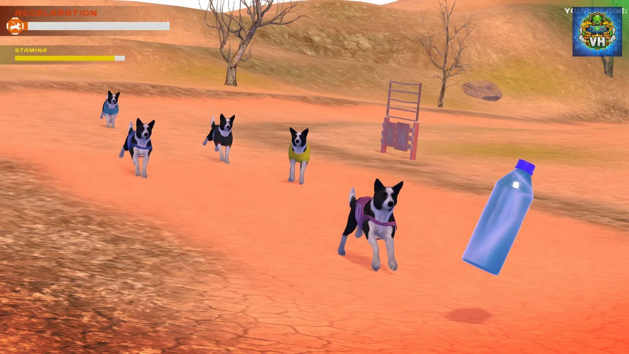 DOG RACING - LOVELY PET FRIENDS PAW Nintendo Switch - ảnh màn hình 6