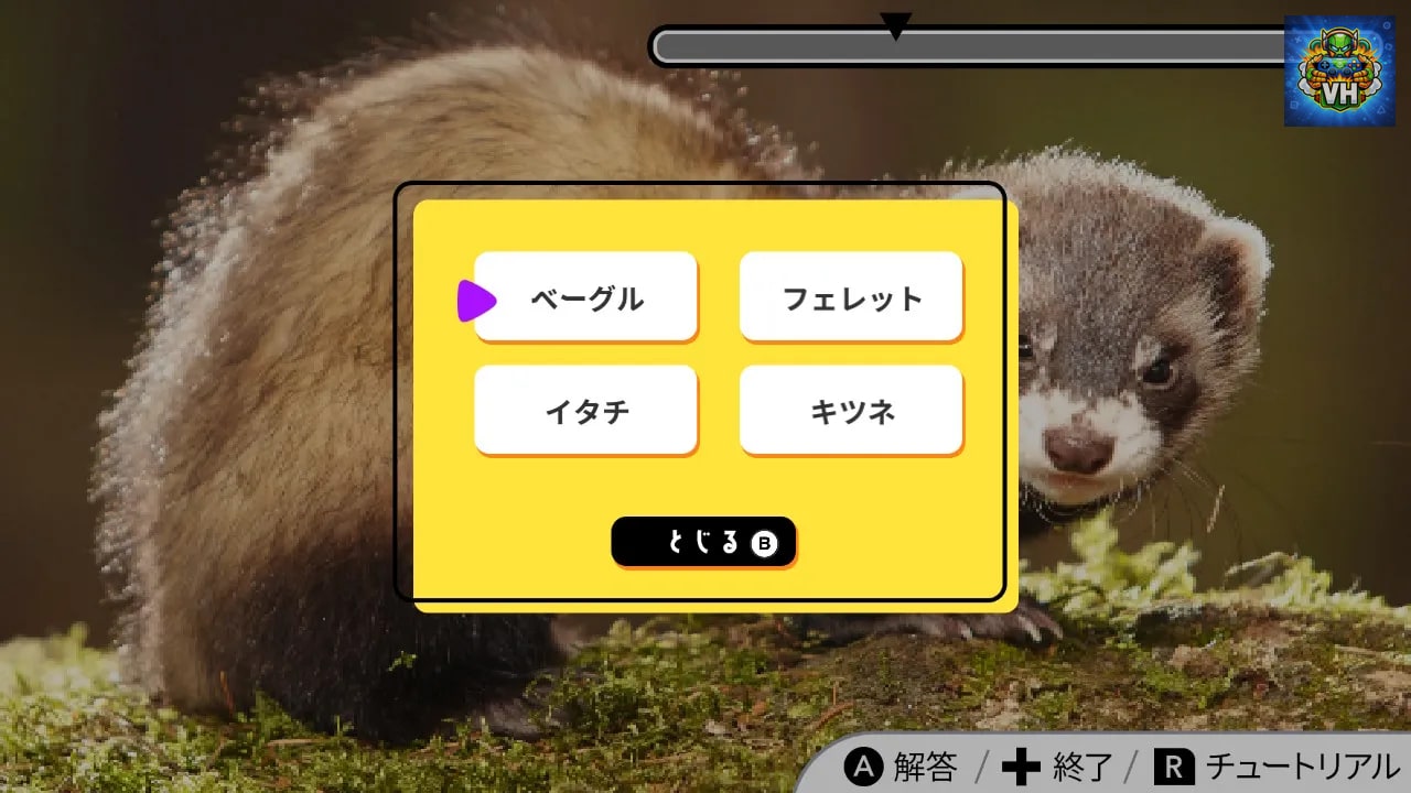 Visual Quiz What’s this? Nintendo Switch - ảnh màn hình 1