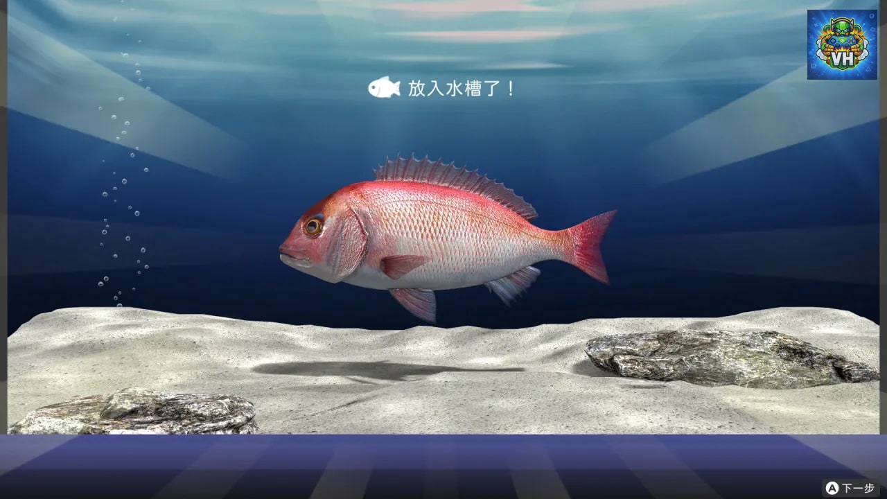 Reel Fishing: Days of Summer Nintendo Switch - ảnh màn hình 3