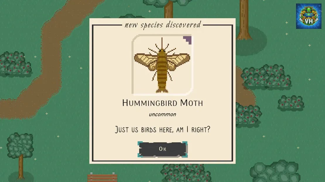 Bug & Seek Nintendo Switch - ảnh màn hình 5