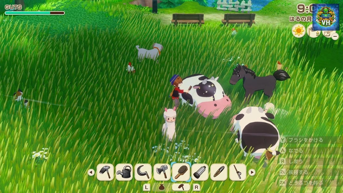 STORY OF SEASONS Grand Bazaar Nintendo Switch - ảnh màn hình 3