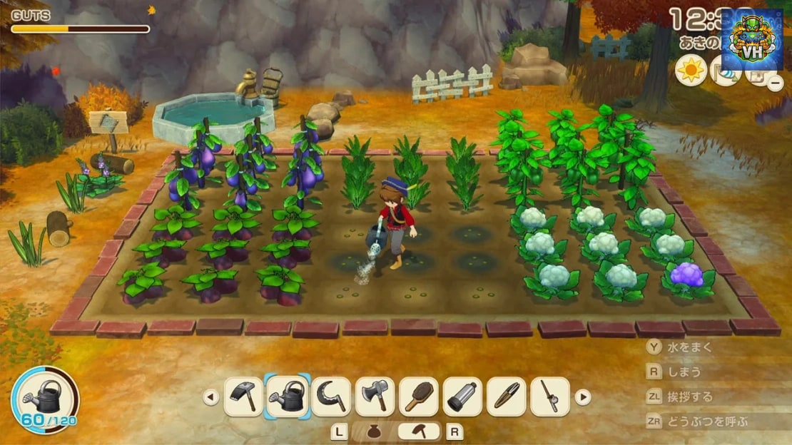 STORY OF SEASONS Grand Bazaar Nintendo Switch - ảnh màn hình 5