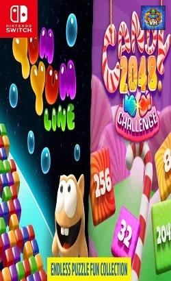 Endless Puzzle Fun Collection Nintendo Switch