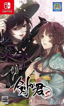 剣が君 for S Nintendo Switch