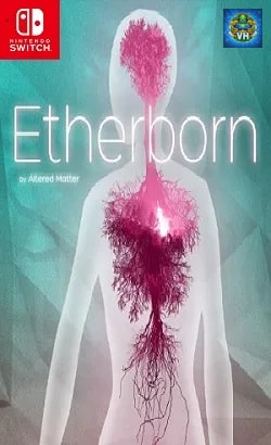 Etherborn Nintendo Switch