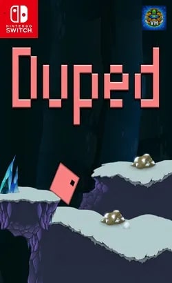 Duped Nintendo Switch