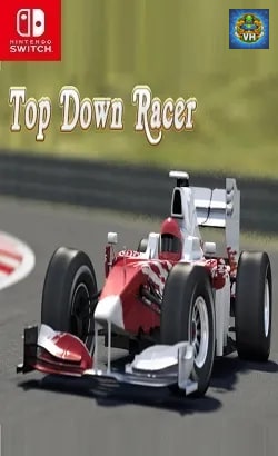 Top Down Racer Nintendo Switch
