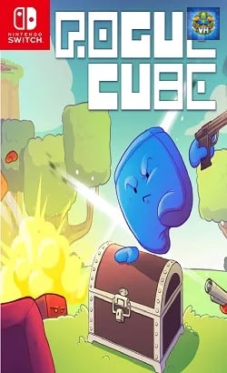 RogueCube Nintendo Switch