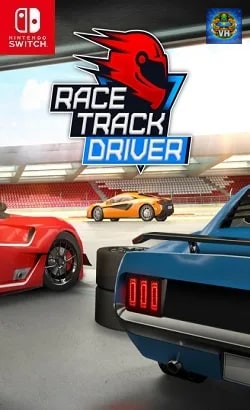 Race Track Driver Nintendo Switch