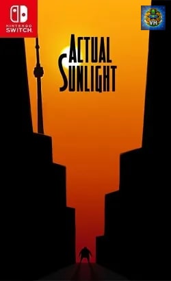 Actual Sunlight Nintendo Switch