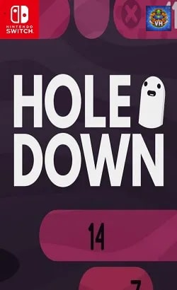 holedown Nintendo Switch