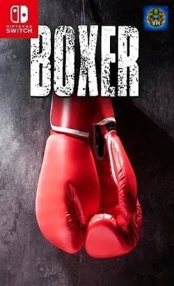 Boxer Nintendo Switch