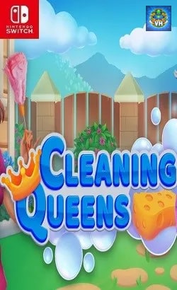 Cleaning Queens Nintendo Switch