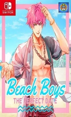 Beach Boys: The Perfect Date Nintendo Switch
