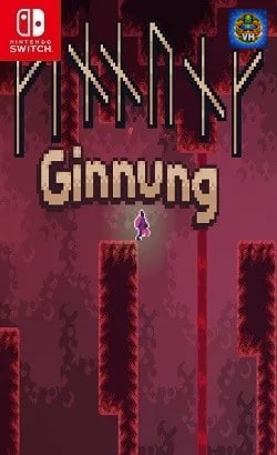 Ginnung Nintendo Switch