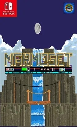 Marmoset Nintendo Switch