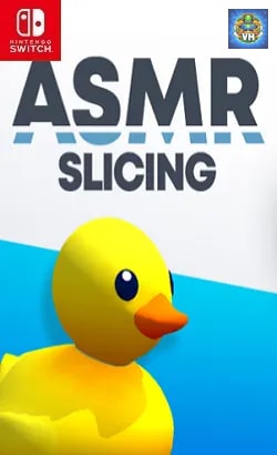 ASMR Slicing Nintendo Switch