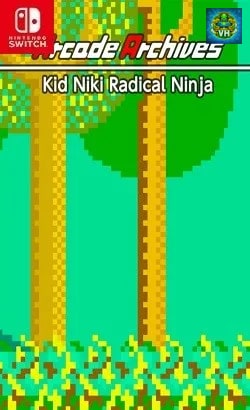 Arcade Archives Kid Niki Radical Ninja Nintendo Switch