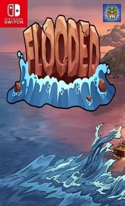 Flooded Nintendo Switch