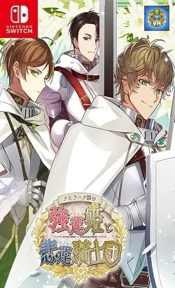 テミラーナ国の強運姫と悲運騎士団 Nintendo Switch