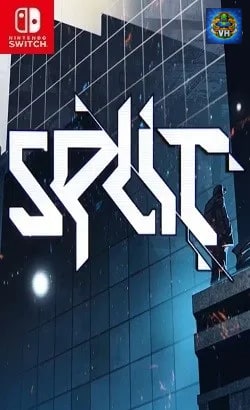 Split Nintendo Switch