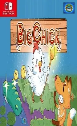 BigChick Nintendo Switch