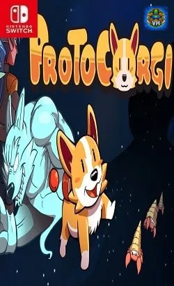 ProtoCorgi Nintendo Switch