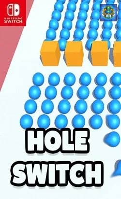 Hole Switch Nintendo Switch