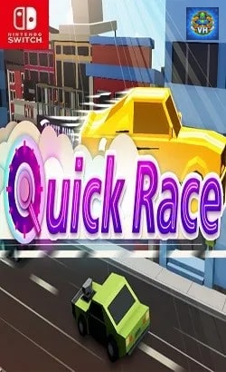 Quick Race Nintendo Switch