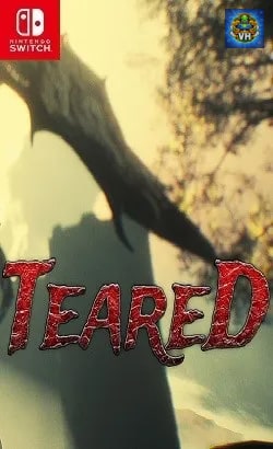 Teared Nintendo Switch