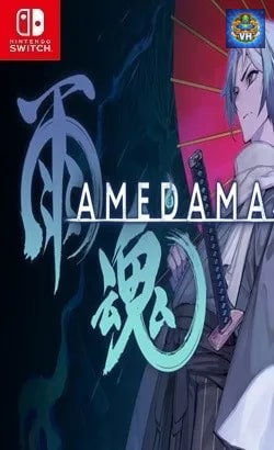 AMEDAMA Nintendo Switch