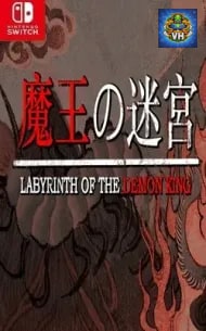 Labyrinth of the Demon King Nintendo Switch